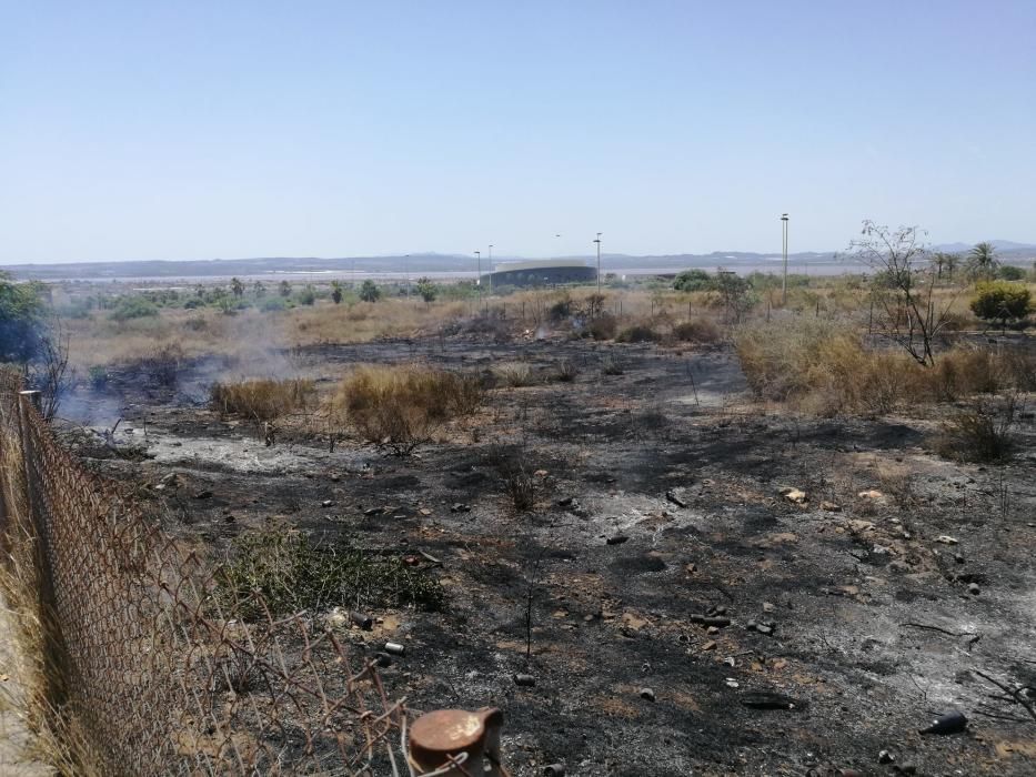Los bomberos de Torrevieja y los bomberos forestales de Guardamar han extinguido hoy un incendio de matorral que ha arrasado cinco mil metros junto a cientos de viviendas y la variante de la N-332, fr