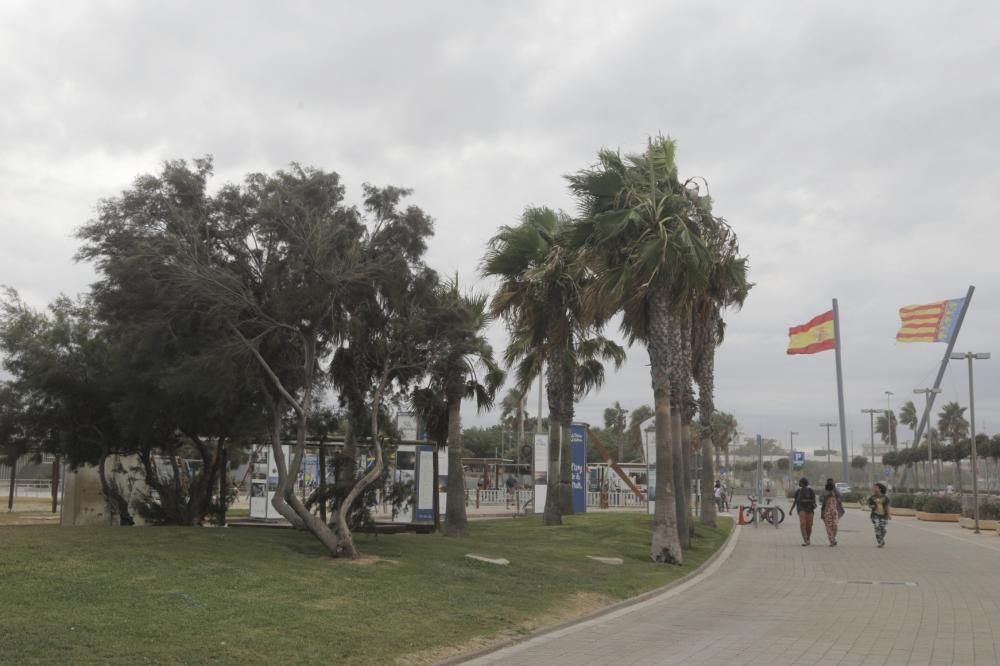 Temporal de viento en València en pleno agosto