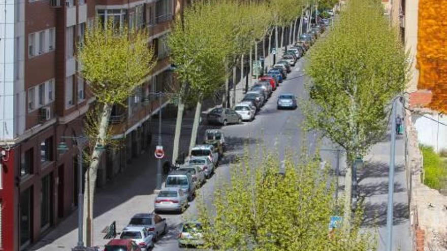 Los plataneros de la avenida Juan Gil-Albert serán eliminados.