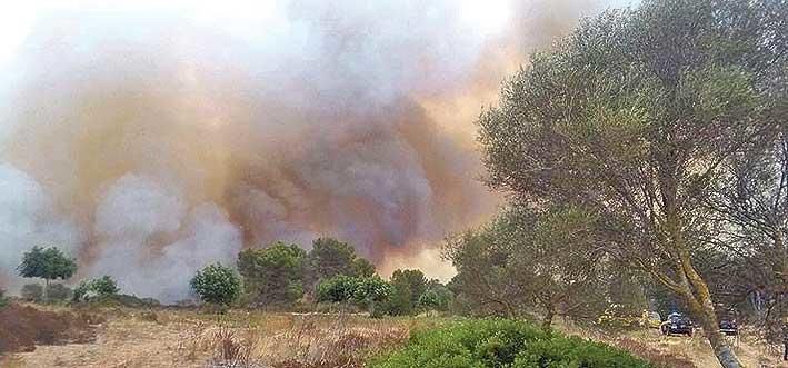 Am Freitag (5.8.) kurz nach 11 Uhr wurde ein Feuer im Gebiet von Sant Agustí im Stadtbezirk von Palma gemeldet. Der Brand war gegen 12.30 Uhr unter Kontrolle, nachdem er eine Fläche von 0,7 Hektar Kiefernwald zerstört hatte.