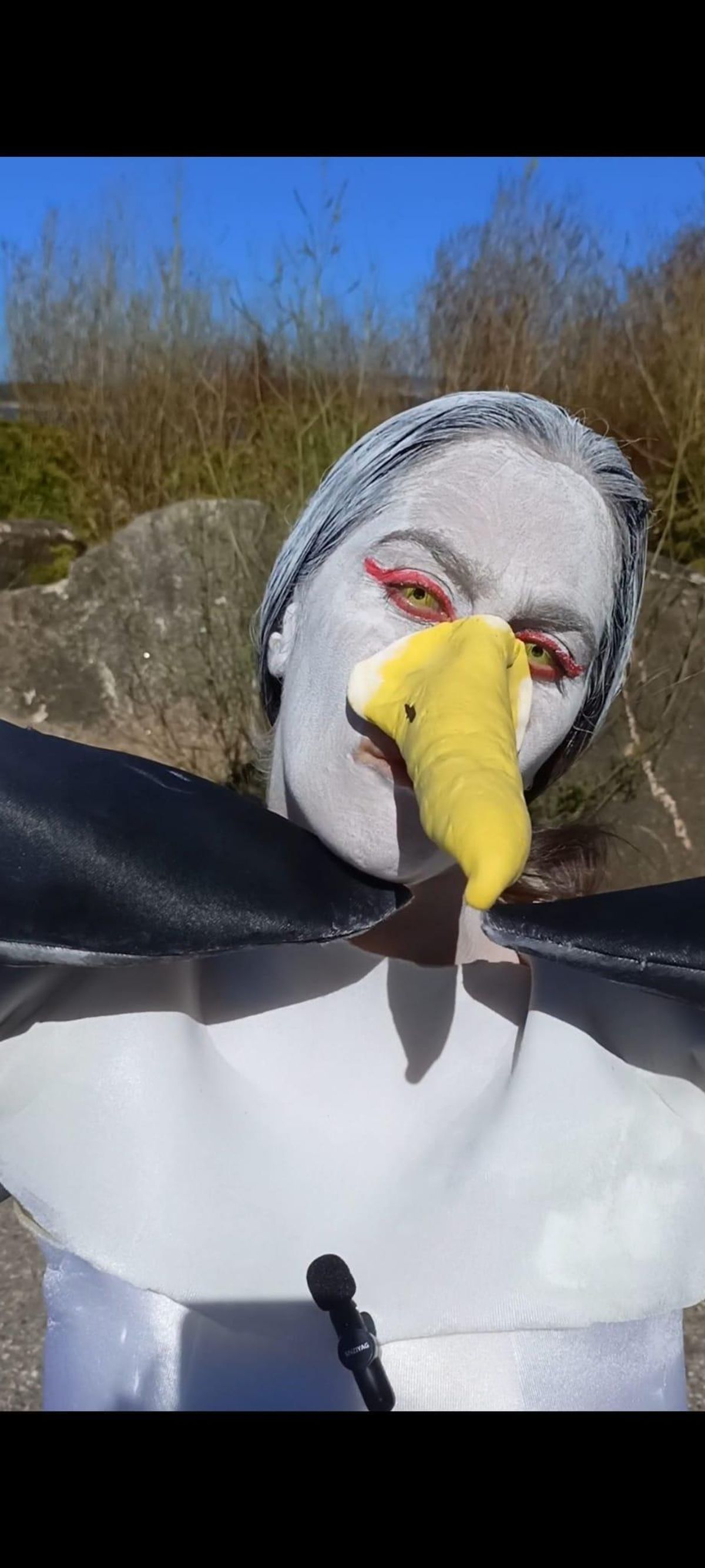 Olga caracterizada de gaviota