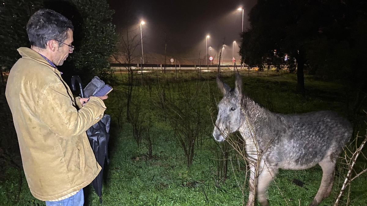 Vídeo | Encuentran a Espinete en la Ribera del Marco de Cáceres