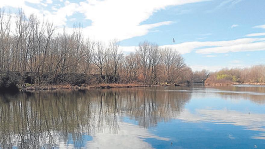 Mínim històric d&#039;aigua del riu Ter cap a Barcelona