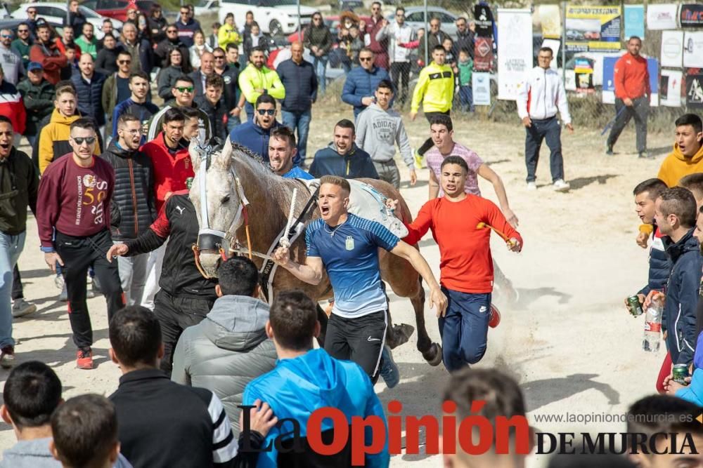 Carrera de entrenamiento de los Caballos del Vino