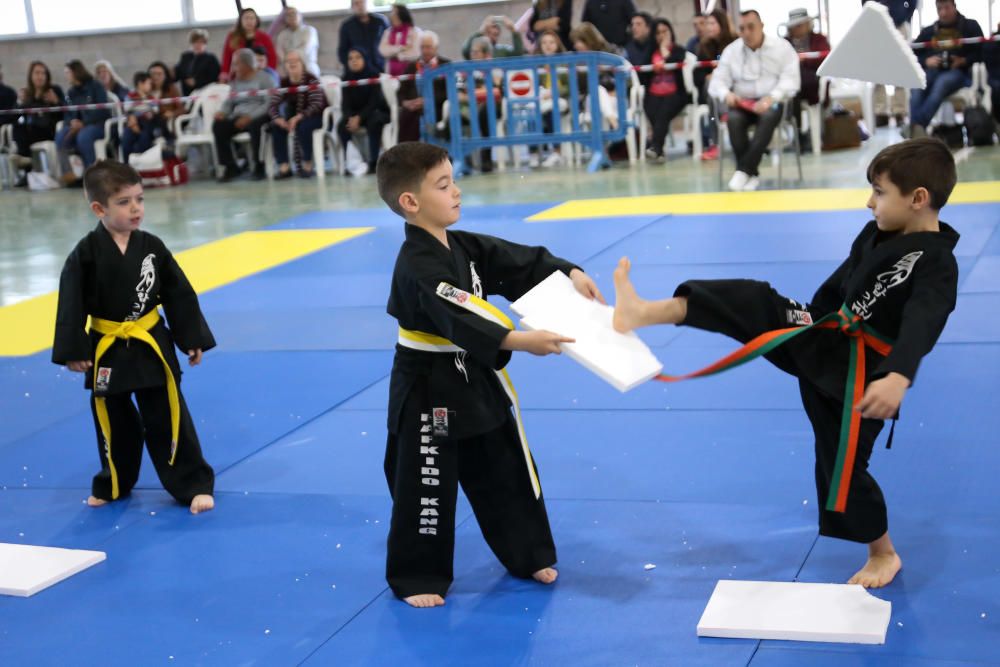 Campeonato regional de hapkido