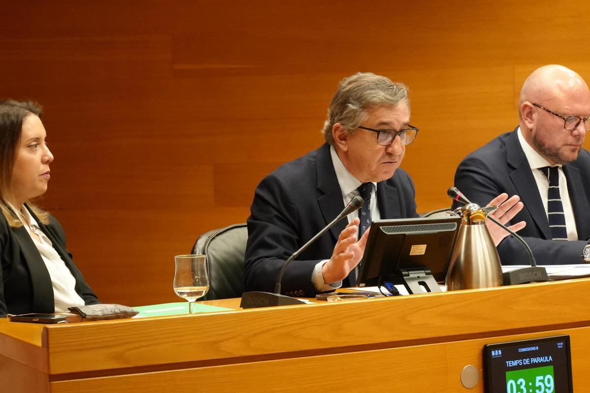 Rovira, en su comparecencia en la comisión de las Corts, este martes.