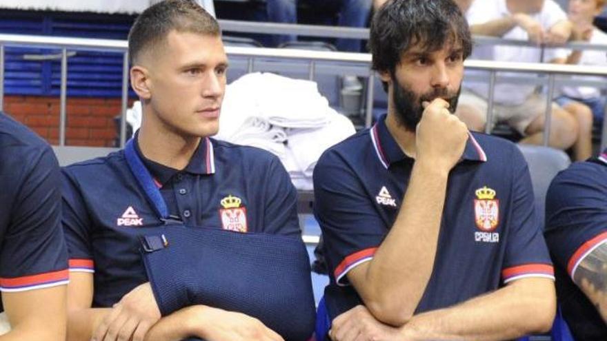 El médico de Serbia no descarta a Nedovic para el Eurobásket