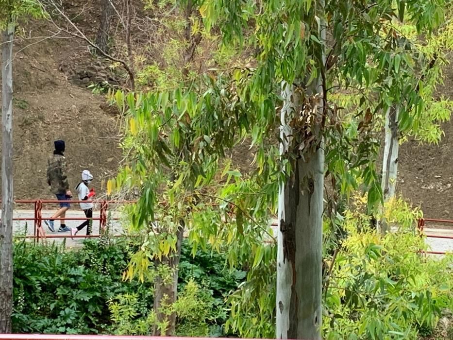 Muchos padres han elegido el monte de Gibralfaro para dar su primer paseo con sus hijos tras más de un mes de confinamiento.