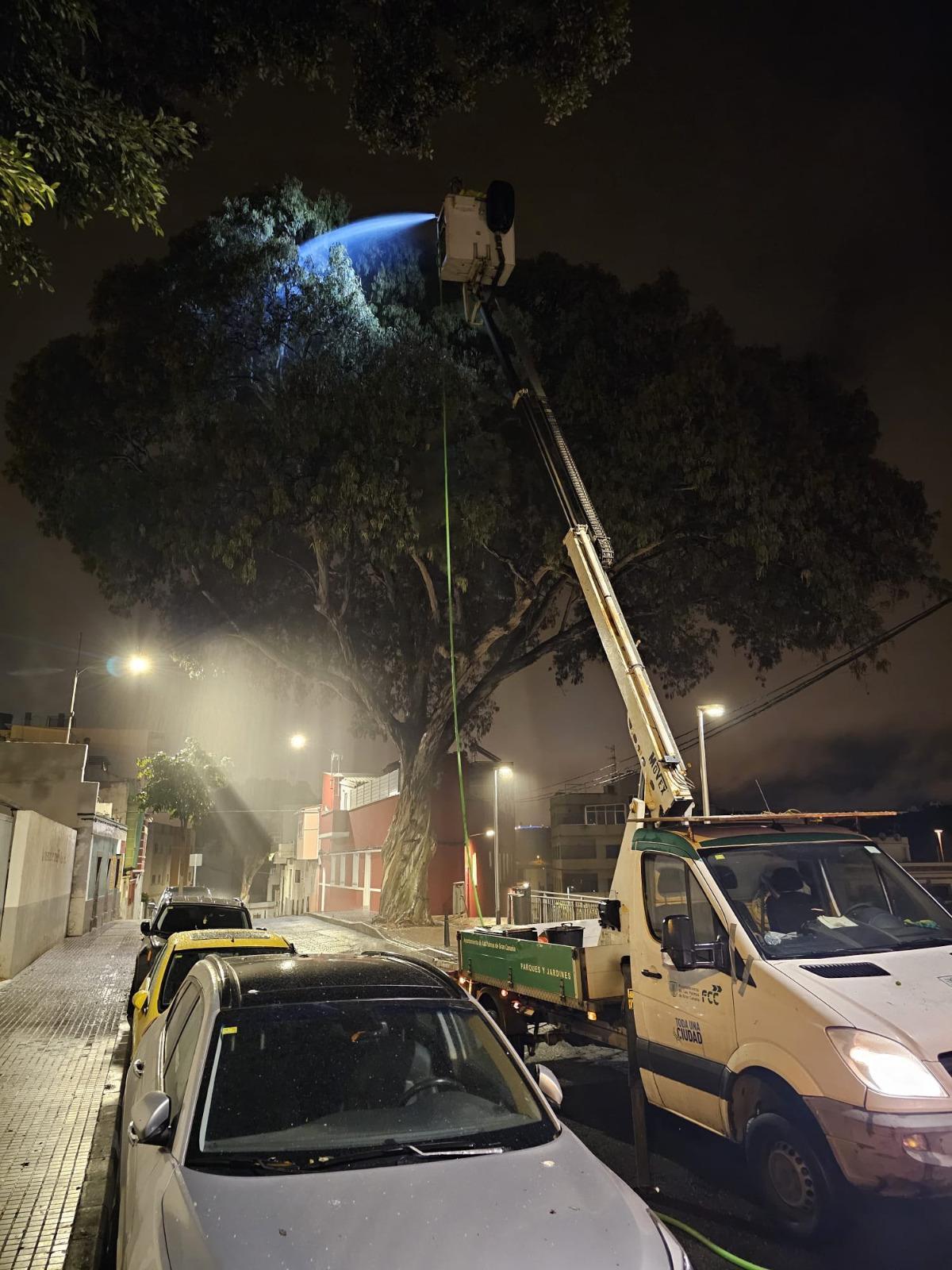 Actuación de lavado con jabón potásico en Tamaraceite