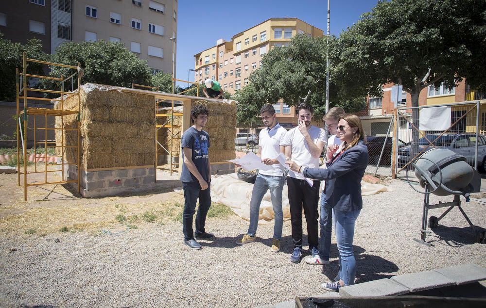 Hort interdisciplinari a l'IES Maltide Salvador de Castelló