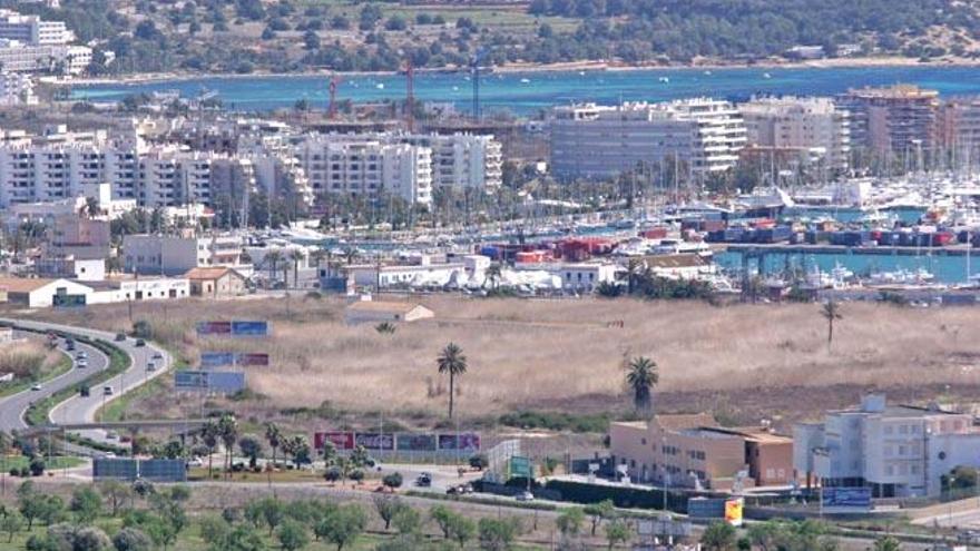 Terrenos del antiguo suelo urbano de la UA-12 de ses Feixes de Vila, al fondo del humedal a la izquierda, con la vista de los edificios del paseo Joan Carles I.