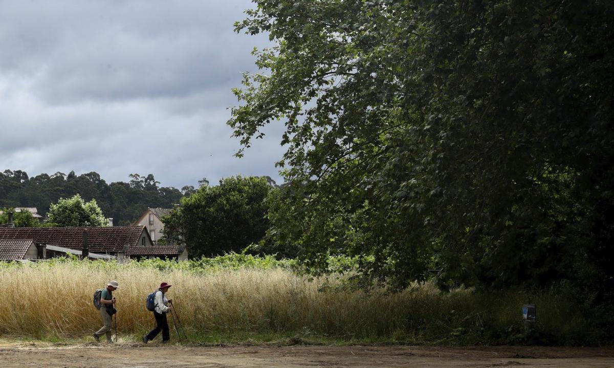 Peregrinos en un tramo de la Variante Espiritual del Camiño Portugués. |  Iñaki Abella