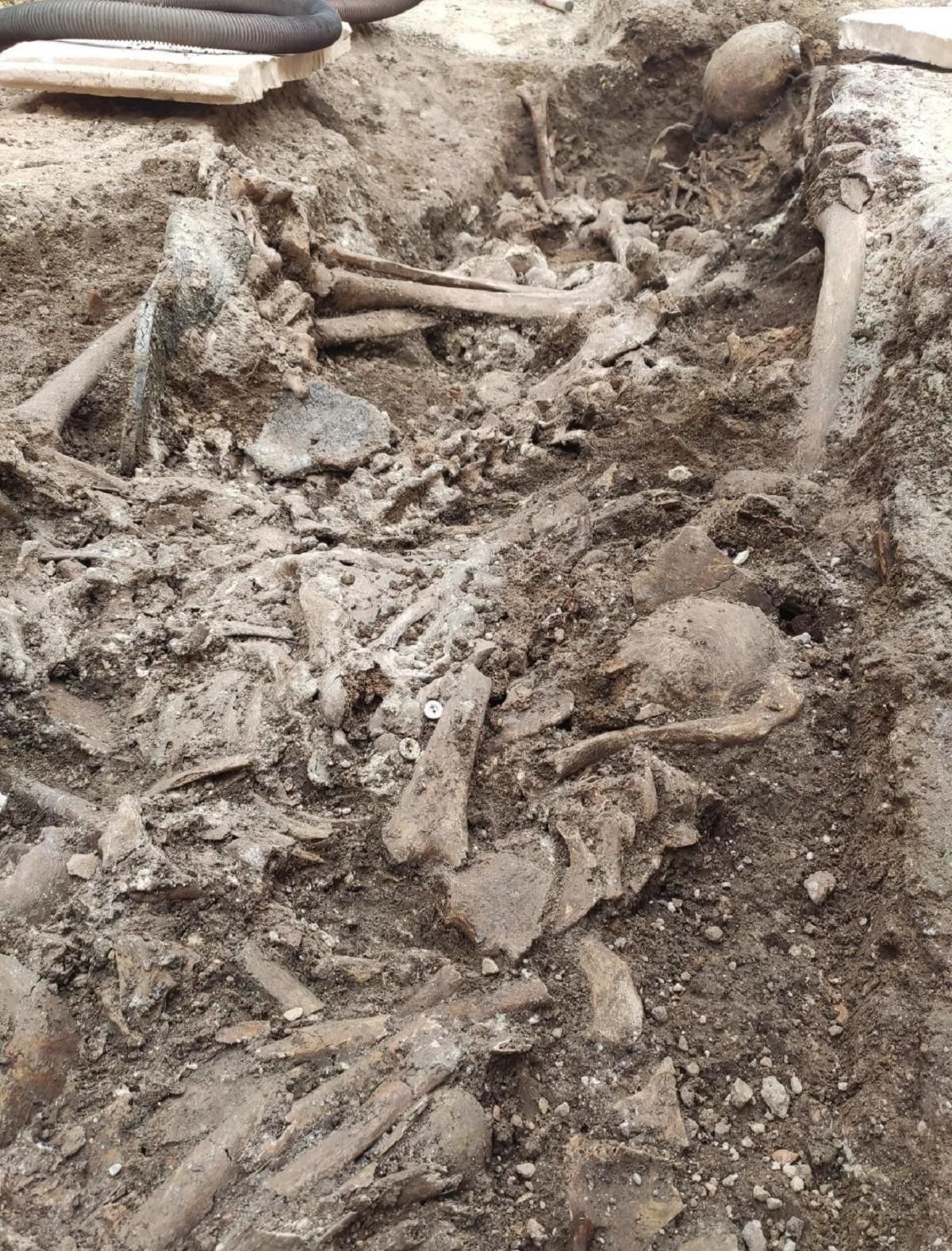 Restos hallados en la fosa número 8 del cementerio de Cabra.