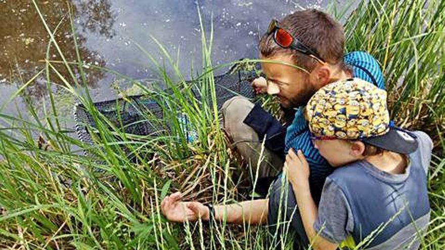 Treballs d&#039;observació a la zona dela Camparra de Riudarenes, municipi on es troba la seu de la Fundació Emys.