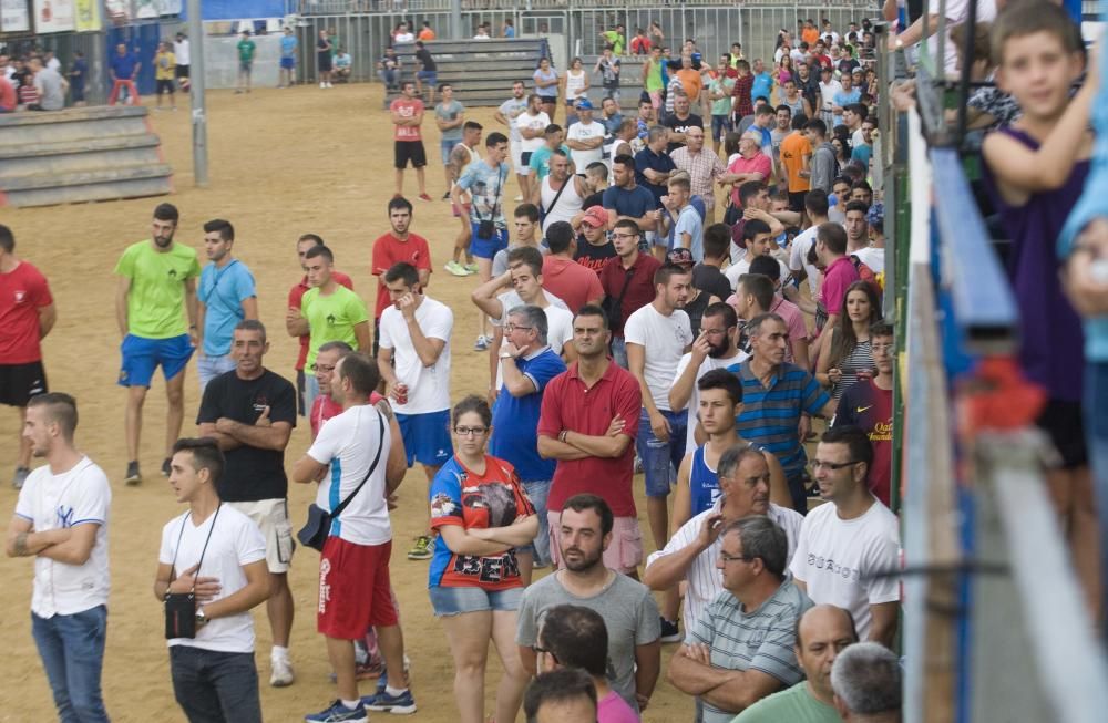 Fiestas de Sagunto. Recinto taurino.