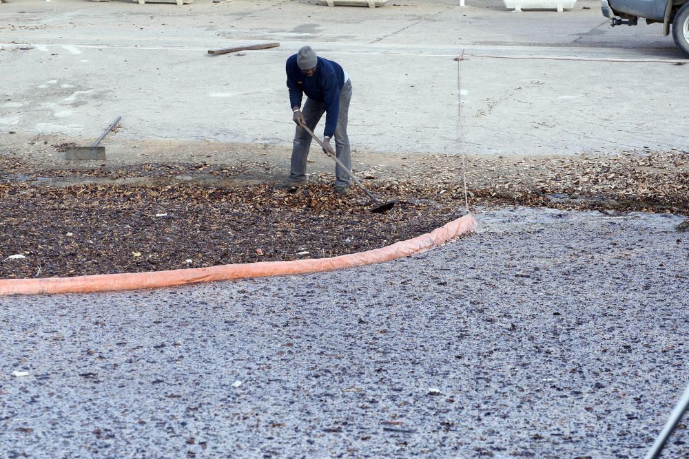 Tasques per retirar la biomassa al port de Palamós