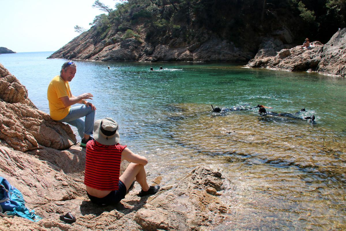 Els submarinistes del CEAB a la Cala Bona de Tossa de Mar inspeccionant les algues