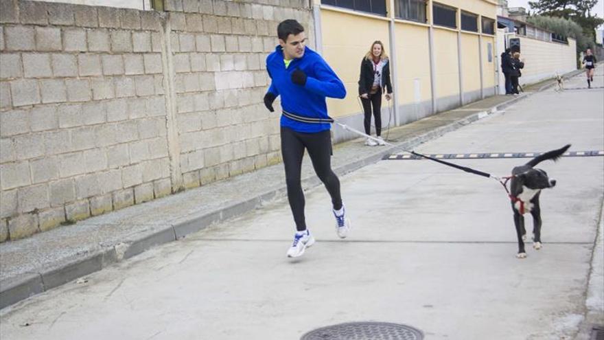 Más de 40 corredores suben el listón de la Canicross