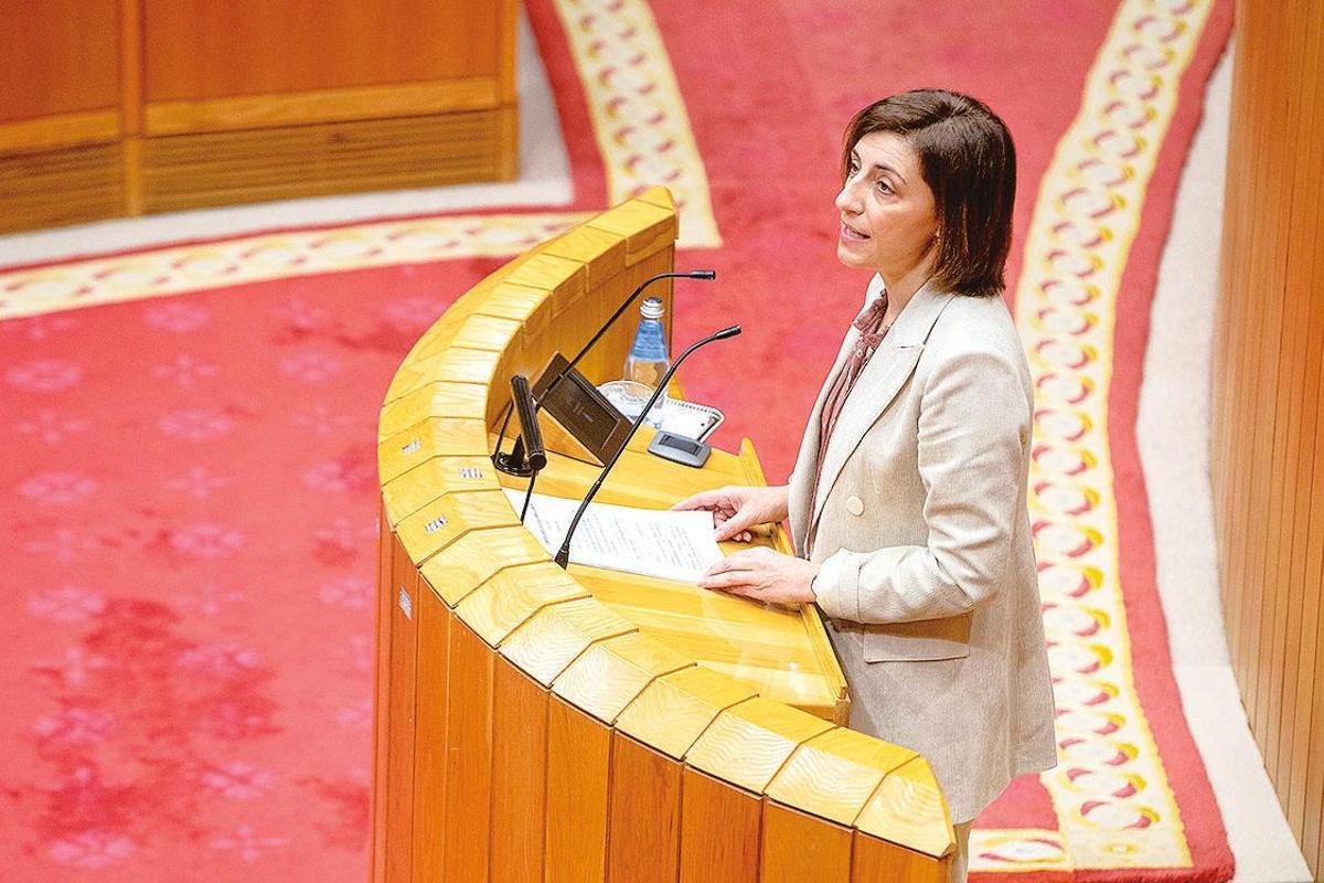 no pleno do parlamento. Arriba, a conselleira de Medio Ambiente, Ángeles Vázquez Mejuto que compareceu onte a petición propia para falar sobre asuntos relacionados co cambio climático. Abaixo, á esquerda, Luis Bará, portavoz de Medio Ambiente do BNG e á dereita, o deputado Pablo Arangüena. Ambos tildaron de propaganda as medidas anunciadas pola conselleira nesta materia. Fotos: Gallego