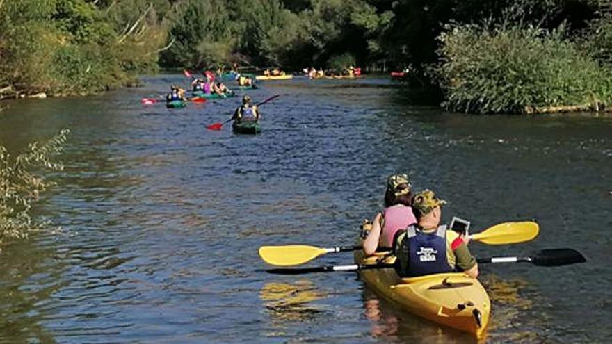 Los piragüistas navegan por el río Duero a su paso por Toro.