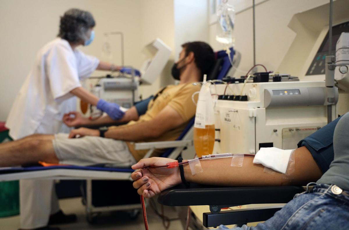 Varias personas realizan donaciones de sangre en el Centro de Transfusión de Sangre de Málaga