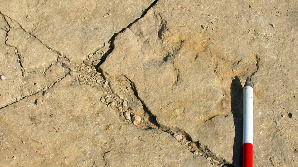 Huellas de dinosaurios carnívoros en Mosqueruela.