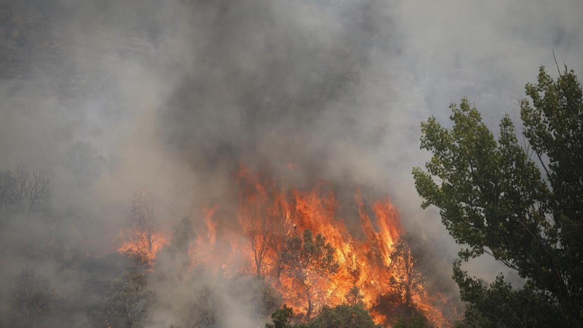 Incendio en Figueruela.