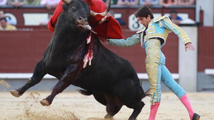 Un toro de Jandilla de bandera