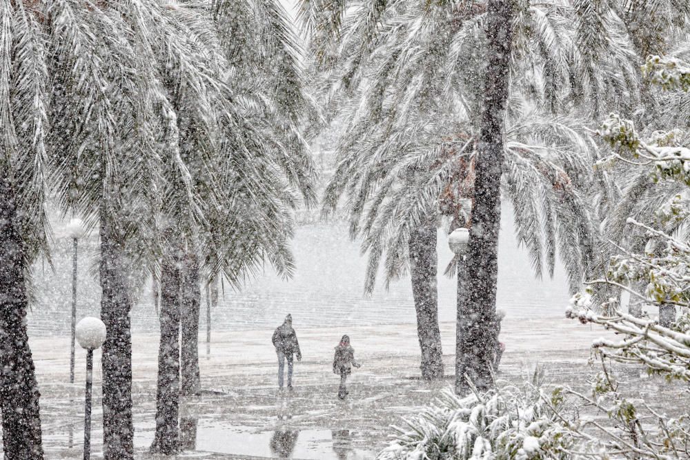 Cinco años de la gran nevada en Palma