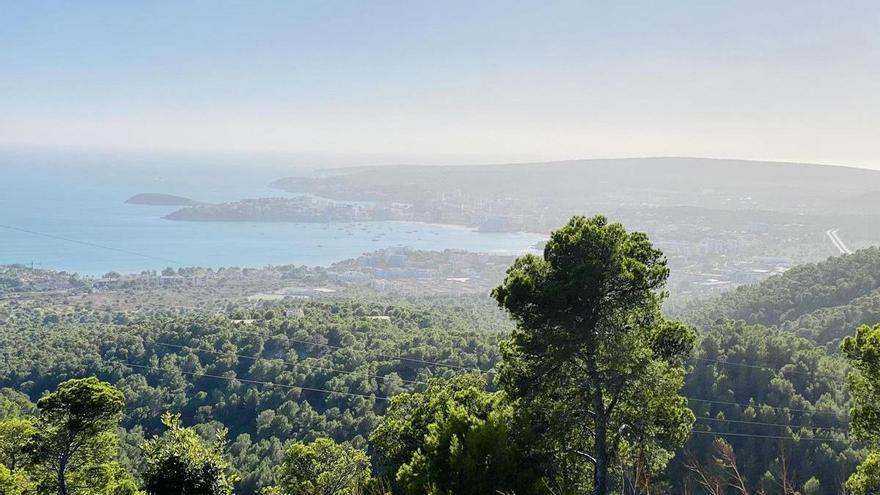 Nach heftigem Regenguss: Das Wetter auf Mallorca wird frühlingshaft