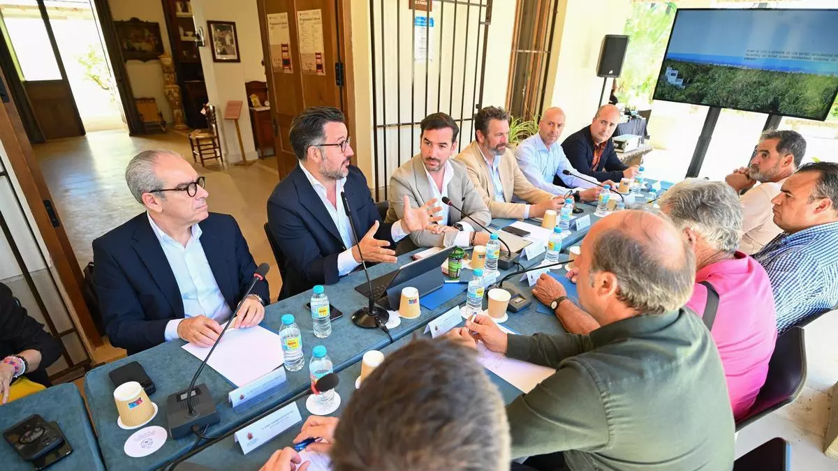 Nuevo Plan de Uso y Gestión del Palmeral de Elche: de las restricciones de aparcamiento al cultivo de tagetes o granados