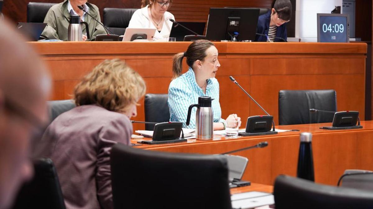 Carmen Susín, este martes en la comisión de Bienestar Social y Familia en las Cortes.