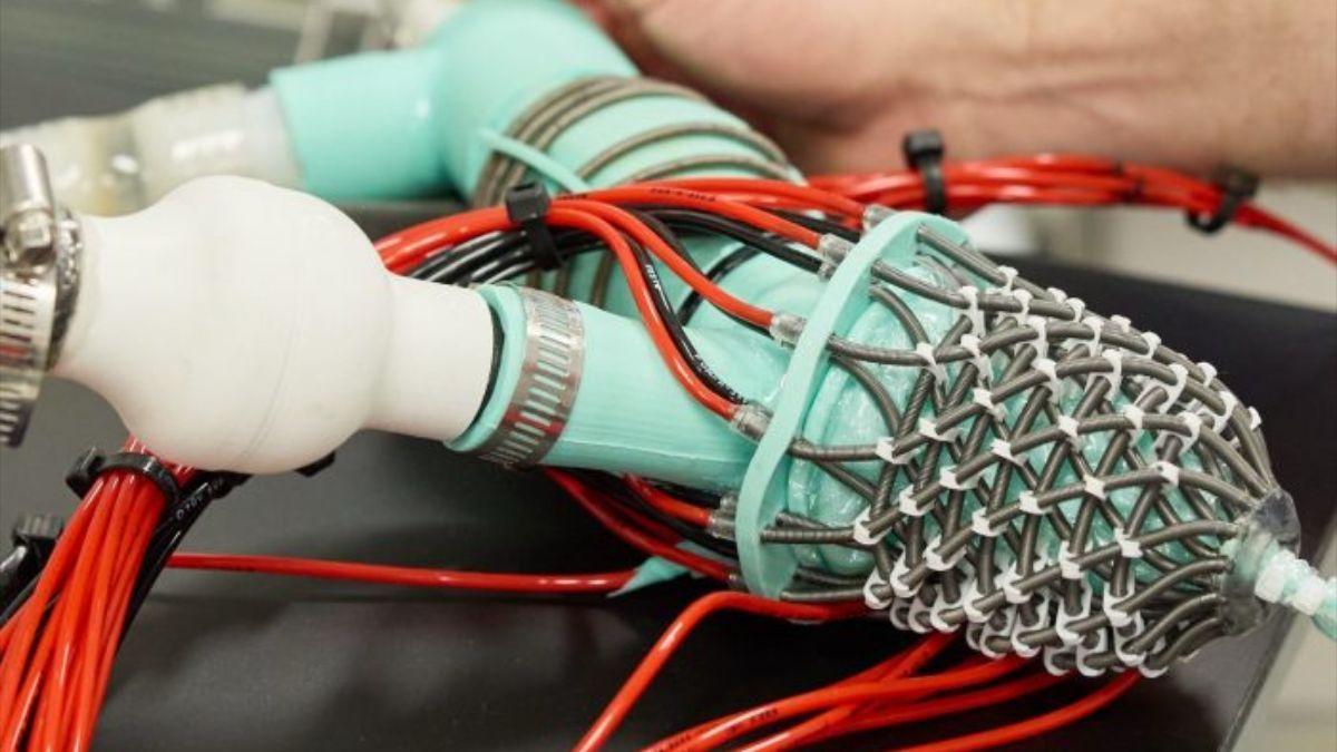 BIOTECNOLOGÍA / Un corazón robótico revoluciona la investigación de enfermedades y dispositivos médicos que salvan vidas