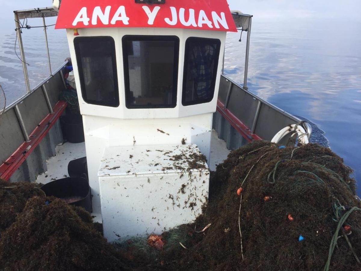 Las algas destrozan las redes con las que faenan los pescadores.