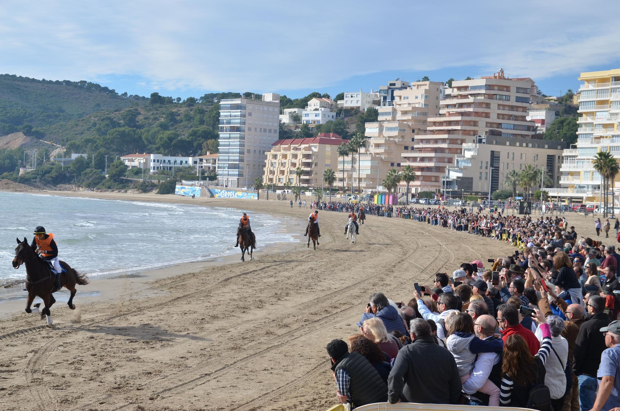 Las imágenes más vistosas de la carrera de caballos y burros de Orpesa