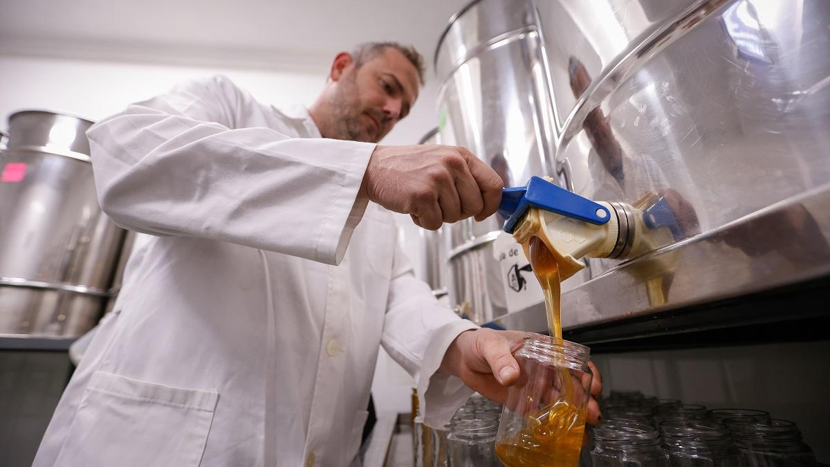 Trabajos de producción de miel en una empresa cordobesa.