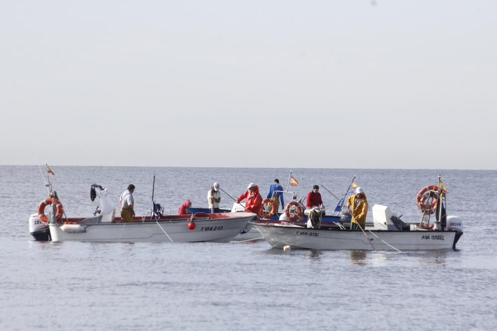 Tibio arranque del libre marisqueo en Cangas