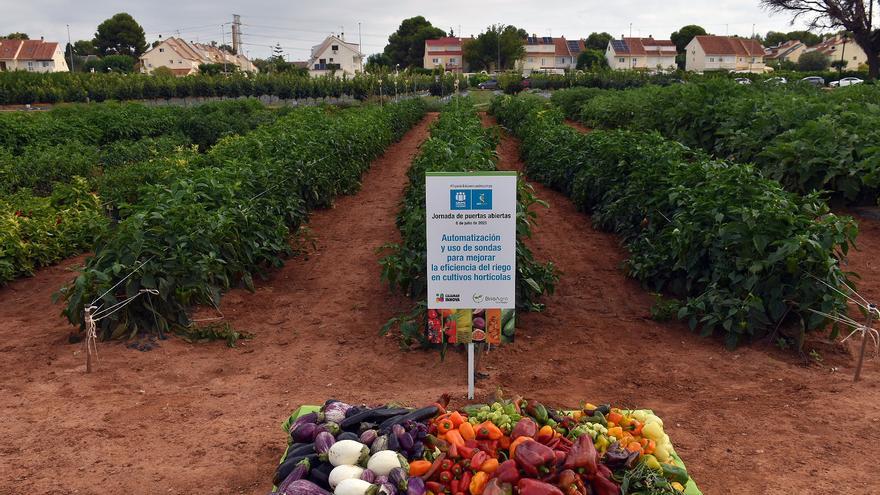 Cajamar lanza el cuaderno de campo digital CX Tierra para el sector de la C. Valenciana