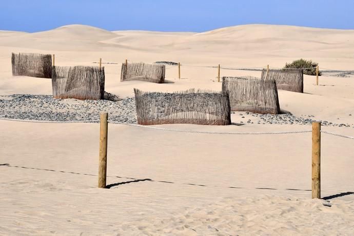 13/05/2019 MASPALOMAS. SAN BARTOLOME DE TIRAJANA. El presiddente del Cabildo de Gran Canria, Antonio Morales, y el consejero de Medio Ambiente y Emergencias, Miguel Ángel Rodríguez, informan del inicio de la segunda fase del proyecto para la recuperación de las dunas de Maspalomas, Masdunas, pionero en el mundo por sus carcterísticas .    Fotógrafa: YAIZA SOCORRO.  | 13/05/2019 | Fotógrafo: Yaiza Socorro