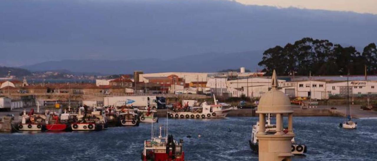 El muelle de Porto Meloxo, en el que se descargó el mejillón enviado a Italia. // Muñiz