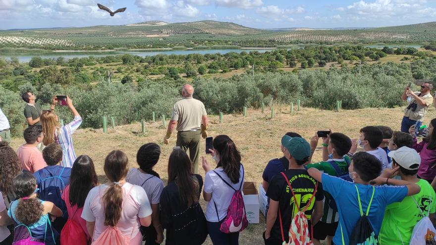Suelta de aves y actividades escolares en la laguna de Zóñar por el Día del Medio Ambiente