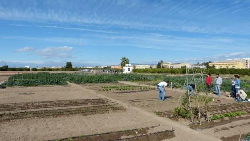 Albuixech cuida su huerta