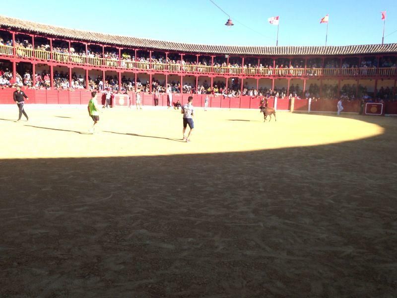 Toro de cajón y encierro urbano en Toro