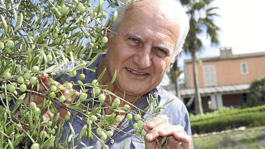 Ivan Levy will in diesem Jahr 14.000 Flaschen seines zertifizierten Olivenöls produzieren