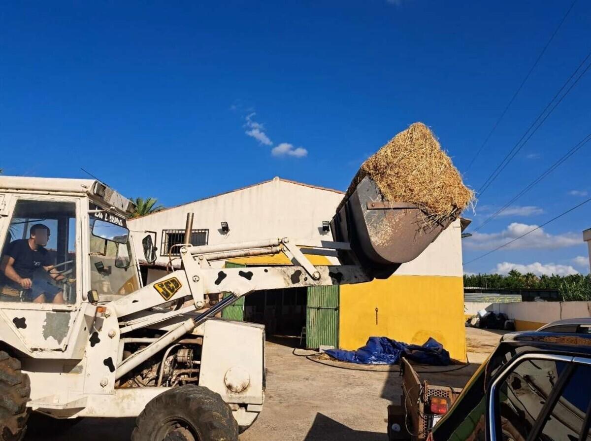 Traslado de alfalfa para alimentar a los caballos en una imagen del expediente.