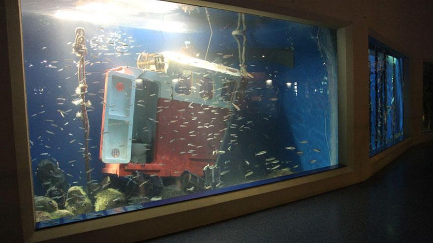 El Aquarium instala un pecio en un tanque de la sala Finisterrae