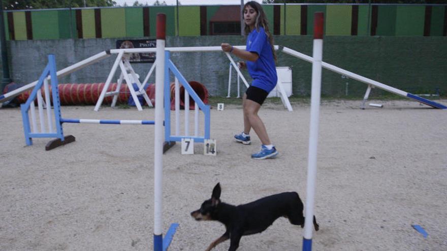 Un campionat d&#039;agility a les instal·lacions actuals de la Devesa.