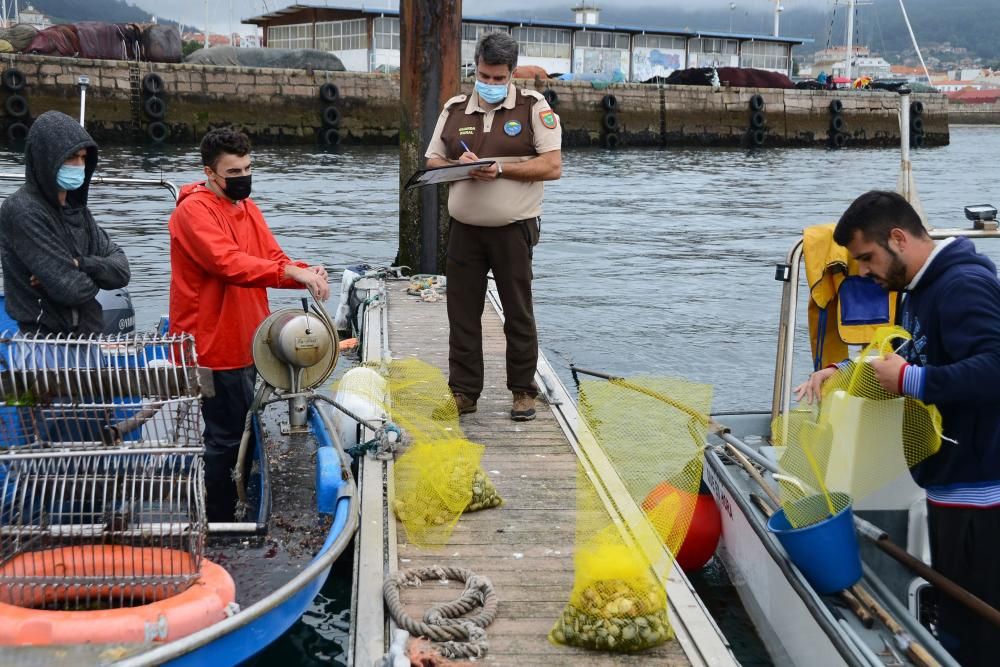 Mariscadores de Cangas y Moaña, en mar y en tierra