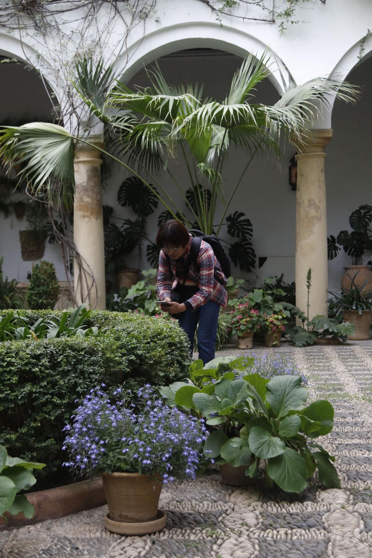 Los patios de Viana se abren a los visitantes del Mayo cordobés