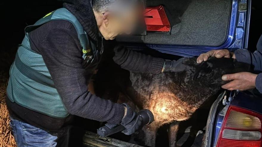 La muerte de la joven de Roales por el ataque de perros irá a juicio en breve